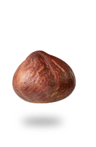 hazelnut