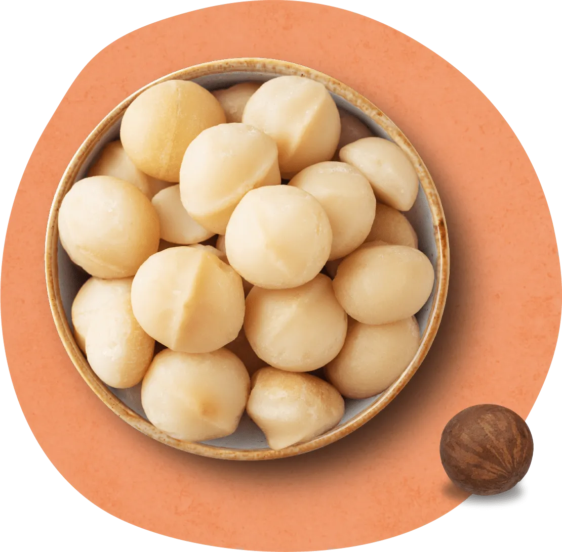 love-macadamia-home-hero (2) love-macadamia-home-hero